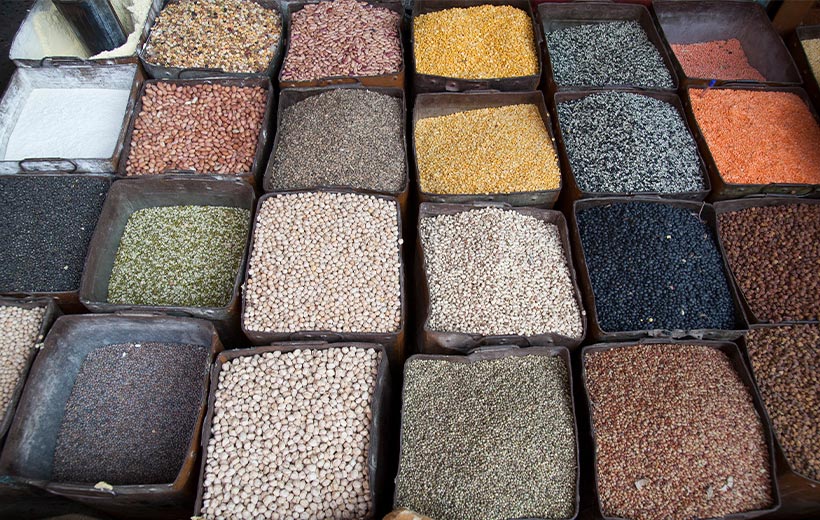 lordagrotrade-com-24