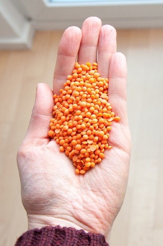 red-lentil-pulses-309